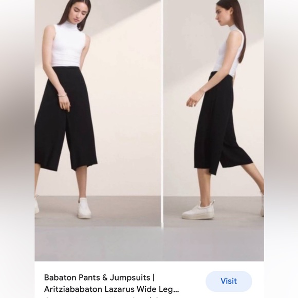 Aritzia Babaton Lazarus Culottes - Picture 4 of 4